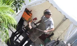 Artisanales de Saint-Denis