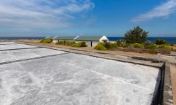 Musée du sel, conseil départemental, culture, fermeture, travaux, actualités de la réunion