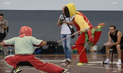 canne de combat 2016