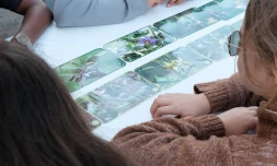  Saint-Paul : des vacances culturelles mêlant humour et biodiversité pour les enfants