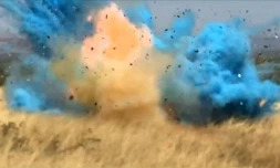 Un garde-frontière avait causé un incendie géant dans l'Arizona en 2017, à l'occasion d'une "gender reveal party", en tirant sur une cible artisanale contenant un produit hautement explosif