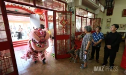 nouvel an chinois , annee du cheval de feu