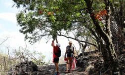grand raid 2018