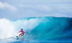 Surf