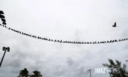 Cyclone Belal 