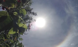 Halo
