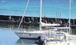 pêche-cavale port de Saint-Gilles 