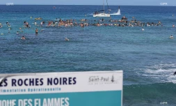 nou\'t tout dans la mer