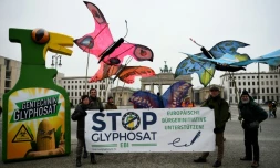 Des environnementalistes brandissent des maquettes de papillons géants à côté d'un immense spray de désherbant au glyphosate devant la porte de Brandebourg à Berlin, le 8 février 2017