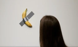 «Comedian», la banane adhésive de l’artiste italien Maurizio Cattelan, lors d’une présentation à la presse chez Sotheby’s à New York, le 25 octobre 2024.