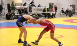 Tournoi lutte