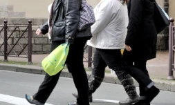 Surpoids et obésité ont globalement augmenté chez les Français entre 1996 et 2017, avec des différences entre les sexes ( AFP / PHILIPPE HUGUEN )