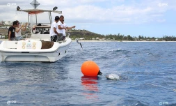 Cap Requins Roches Noires