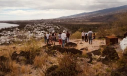 Saint-Paul : Vagabondage poétique autour de la savane