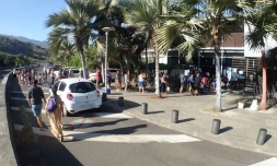 Kélonia : longues files d'attente à cause des restrictions sanitaires