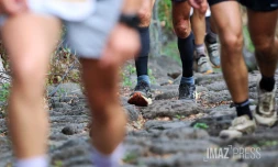 Trail 