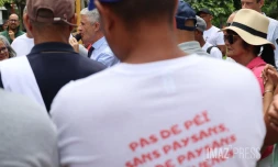 Manifestation des agriculteurs