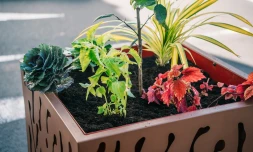 Saint-Denis : 20 nouvelles jardiniÚres installées en centre-ville