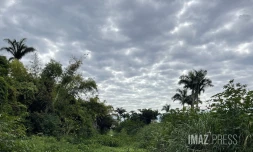 nuages et nature au Tour des Roches