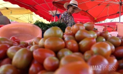 marché forain tomates 