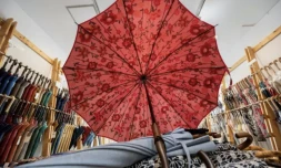 Des parapluies dans l'atelier-boutique Komiya Shoten, le 3 août 2023 à Tokyo ( AFP / Richard A. Brooks )