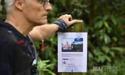 Disparition de Nicolas Aulezy : de nombreuses personnes regroupées à Piton Fougère pour le retrouver