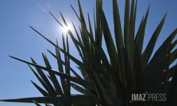 parc de la trinite , coeur vert familial 