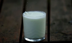 Le \"lait de soja\" n\'est pas du lait