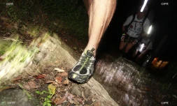Trail