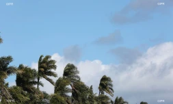 météo réunion 