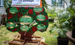  Des ateliers de compostage et un défi « Foyer Zéro Déchet » pendant les vacances