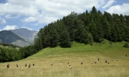 Opérations de recherche du petit Emile au Vernet, le 10 juillet 2023 dans les Alpes-de-Haute-Provence ( AFP / NICOLAS TUCAT )