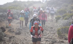 trail du volcan, 1er mai, sport, Bourg Murat, course