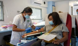 2ème journée de collecte au Port