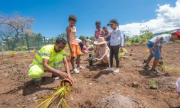 Rivière des Galets : 120 enfants participent à la création d’une mini forêt sur les berges