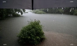 fortes pluies dans l'est