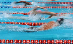 natation 