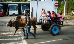  Saint-Paul : une journée intergénérationnelle autour des traditions lontan 