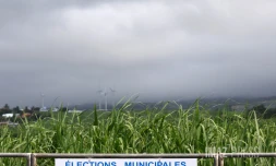 panneaux electorales