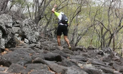 Grand raid 2014