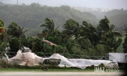 Cyclone Belal : Bois Rouge