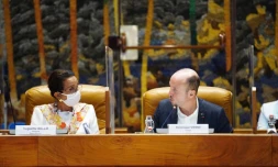 Dominique Vienne huguette bello réunion ceser