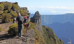 Recherches Mathieu Caizergues 