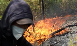 Un agent forestier lutte contre un incendie de forêt dans une zone montagneuse près de la ville d’El Hachimia (Algérie), le 21 juillet 2026. AFP 