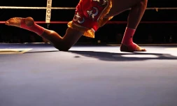 Vendredi 9 septembre 2011 - Gala de boxe Millenium World Championship au stade Jean Ivoula