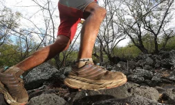 Trail 