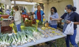 Le Département organise un marché Péi au Jardin de l'Etat
