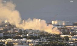 Feu, incendie, butte citronnelle, Le Port