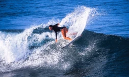 surf