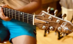 Luthier